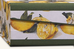 Schachtel mit Zitronenmotiv für Hobbyköche